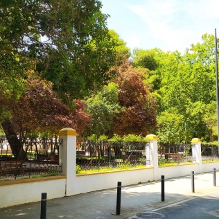 Parque de los Jardinillos. Albacete. Jordi Diaz Callejo, 2022